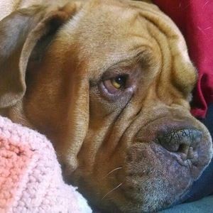 Meet your Posher, Jill